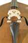 Preview: Double Bass