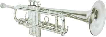 Platinum FGH245 Masters Series