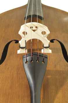 Double Bass