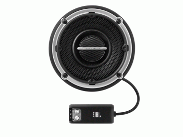 Lautsprecher 4 Zoll 2-Wege DS-002