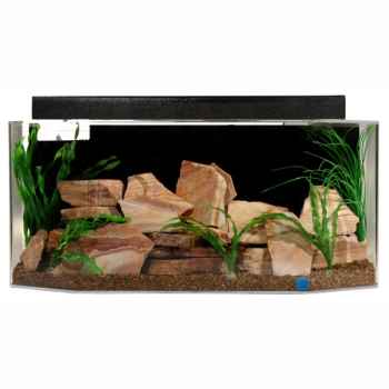 Aquarium mit Ziersteinen und Pflanzen