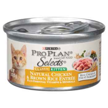 Katzenfutter mit Huhn & Reis