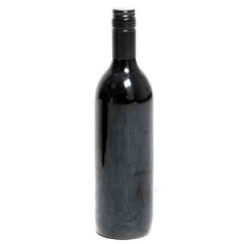 Wein 2009 12 Flaschen