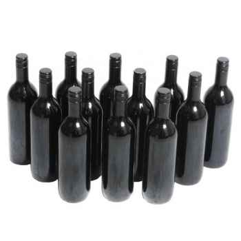 Wein 2009 12 Flaschen