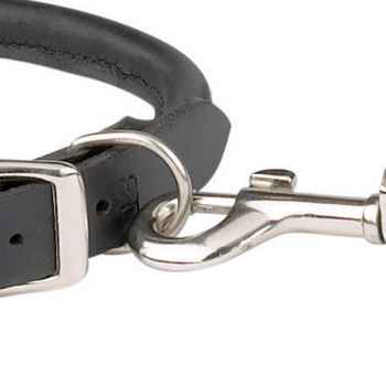 Leder Halsband Braun o. Schwarz