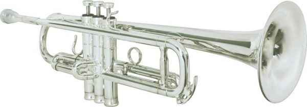 Platinum FGH245 Masters Series