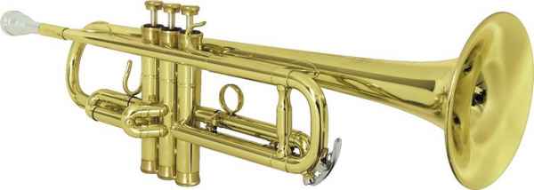 Platinum FGH245 Masters Series