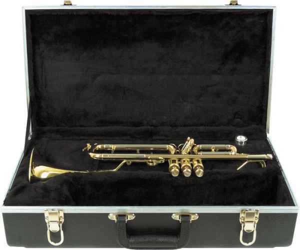 Platinum FGH245 Masters Series