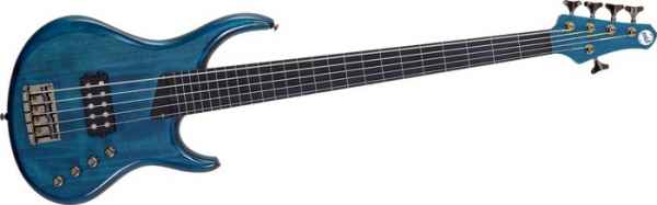 D&S Classic Artist 5-String Bass Gitarre