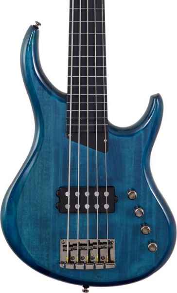 D&S Classic Artist 5-String Bass Gitarre