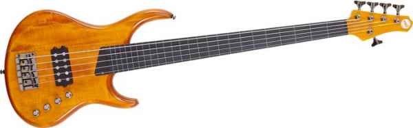 D&S Classic Artist 5-String Bass Gitarre