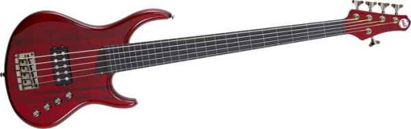 D&S Classic Artist 5-String Bass Gitarre