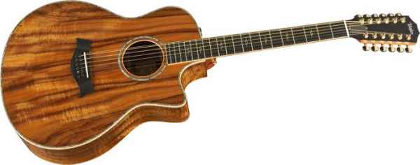 Akustik Gitarre DS66AE 12-Saiten