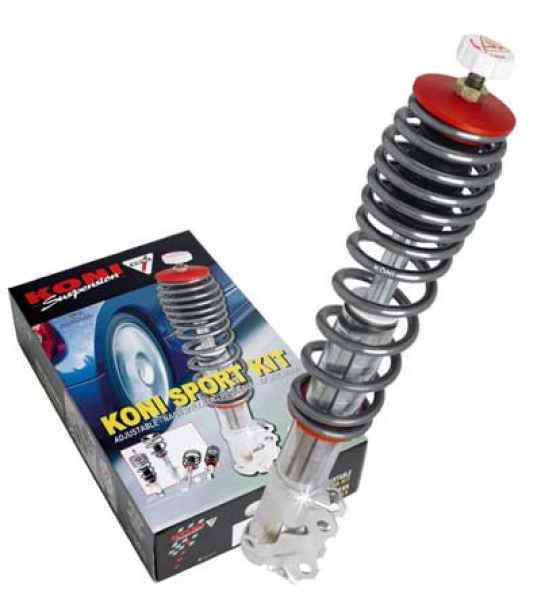 Feder-Dämpfer Kombination