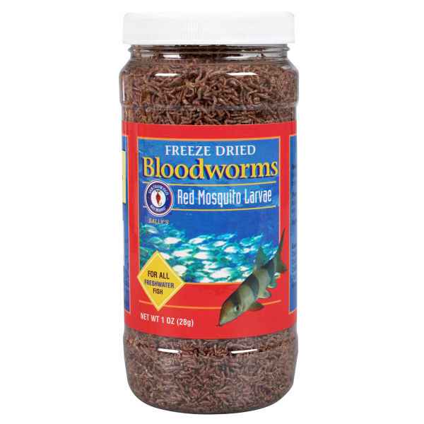 Blutwurm und rote Mosquito Larve