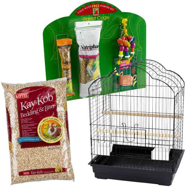 Papagei Starter Kit