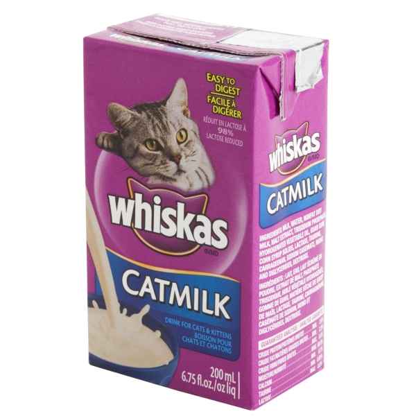 Katzenmilch