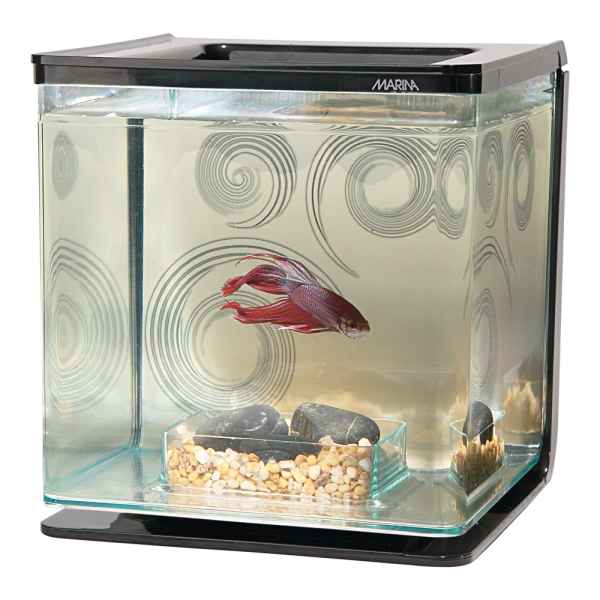 Calssic mini Aquarium