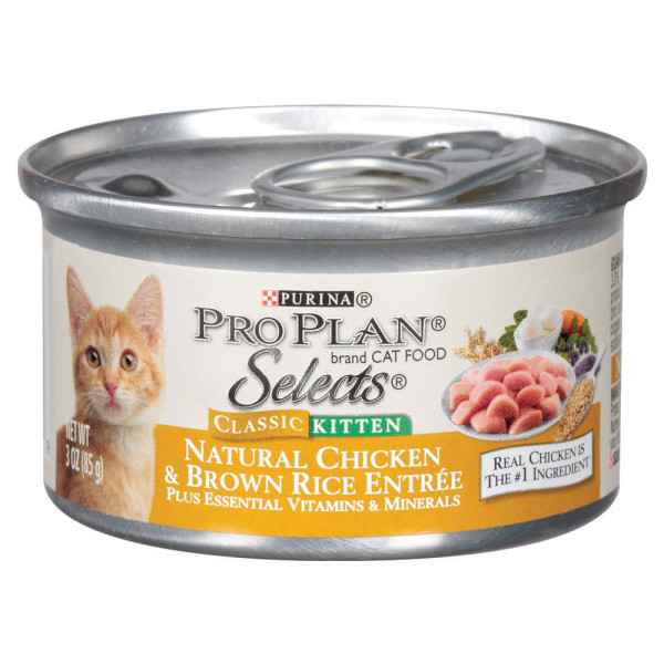 Katzenfutter mit Huhn & Reis