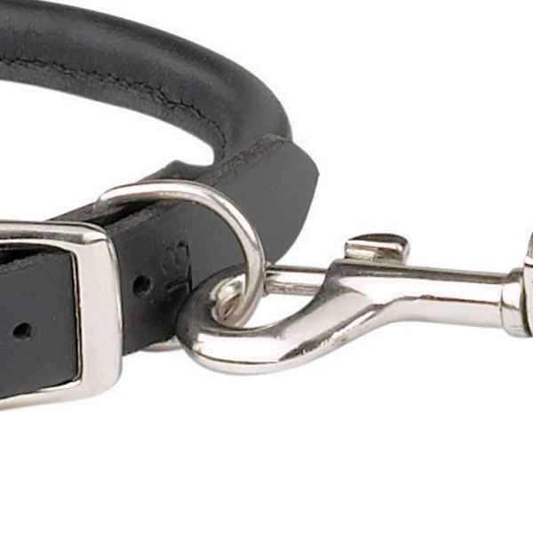 Leder Halsband Braun o. Schwarz