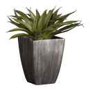 Preview: Diverse sukkulente Topfpflanzen