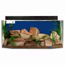 Aquarium mit Ziersteinen und Pflanzen