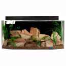 Aquarium mit Ziersteinen und Pflanzen