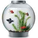 Preview: Kugelaquarium