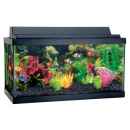 Aquarium 120x80cm